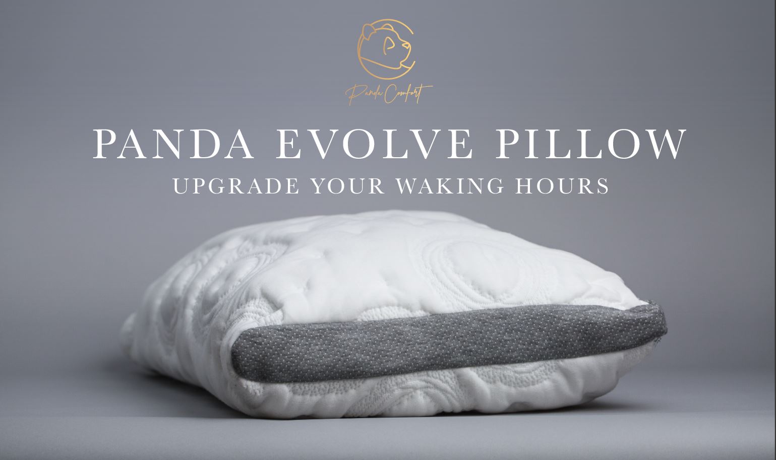EVOLVE Pillow