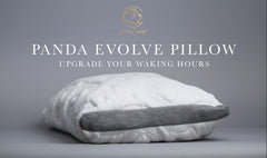 PandaComfort社　EvolvePillow 特許枕 EVOLVE Pillow - Panda Comfort